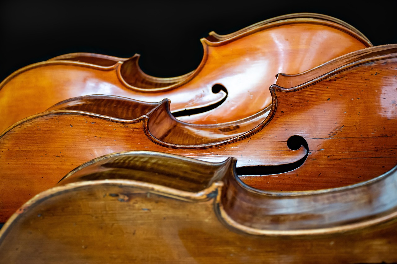 07/05 – Audition « Violoncelle » 