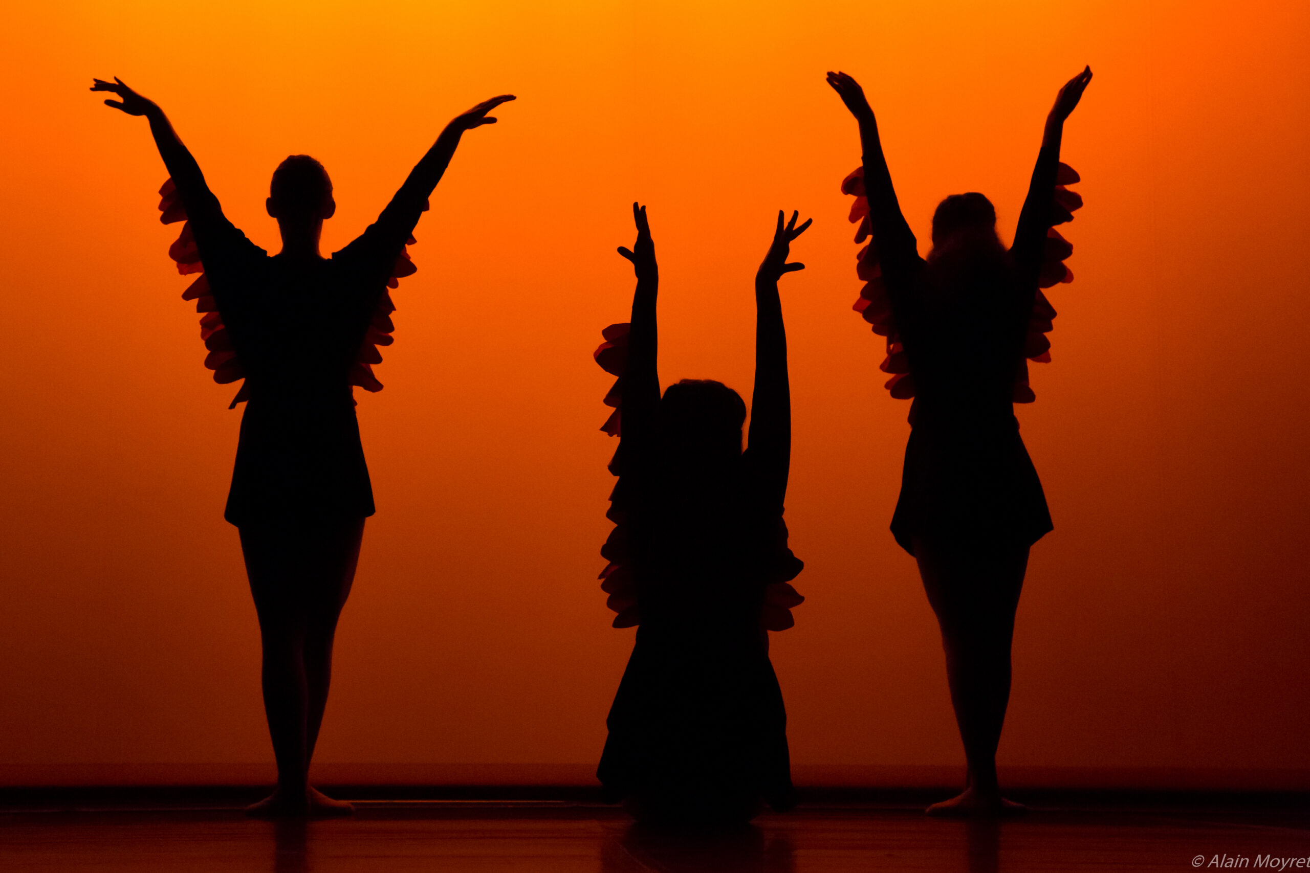 6 & 13/06 – Journées de la Danse